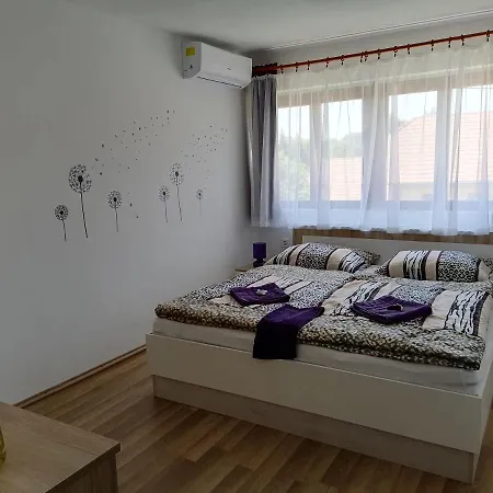 Casă la țară 8888 Vendeghaz