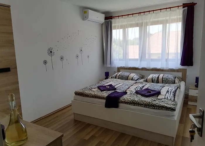 Casă la țară 8888 Vendeghaz